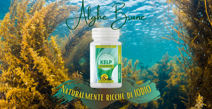 Kelp for iodine deals deficiency