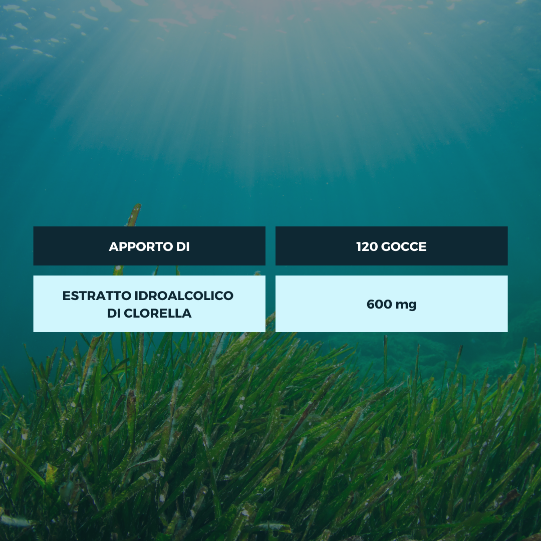 ALGA CLORELLA TINTURA OFFICINALE Ecosalute