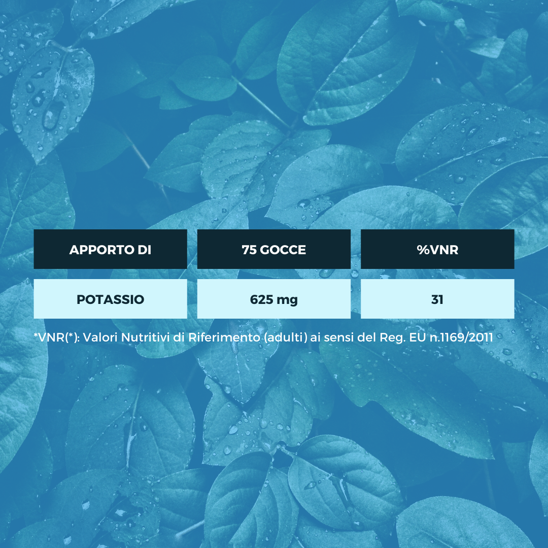 ALKAVITA GOCCE Ecosalute