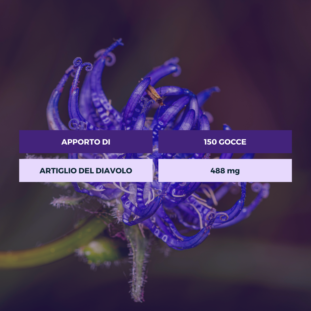 ARTIGLIO DEL DIAVOLO TINTURA OFFICINALE Ecosalute