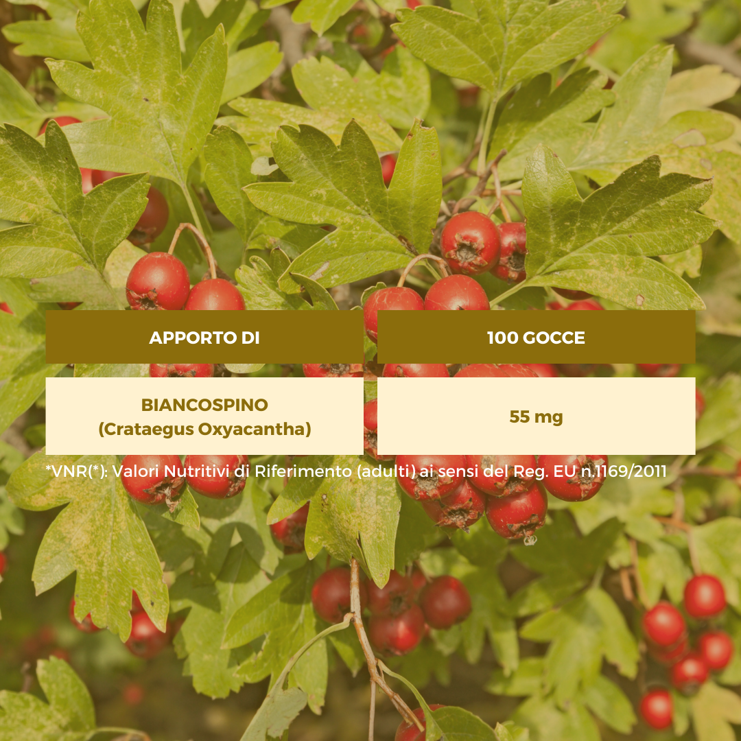 BIANCOSPINO Gemmoderivato Ecosalute