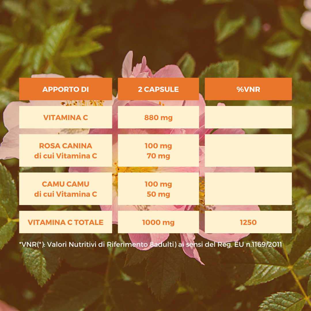 C-VITALITY PLUS Ecosalute