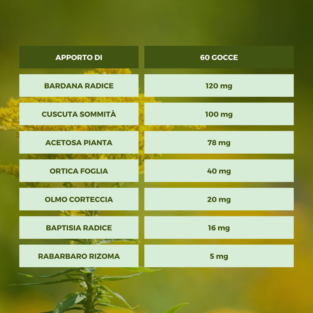 COPPIA FORMULA CAISSE Ecosalute