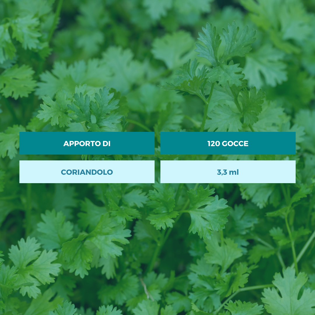 CORIANDOLO TINTURA OFFICINALE Ecosalute