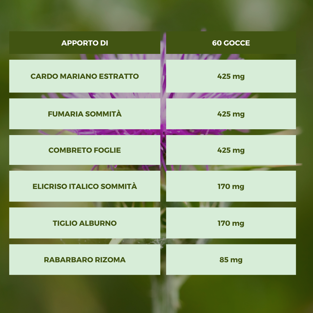 DEPURATIVO FEGATO POTENZIATO Ecosalute