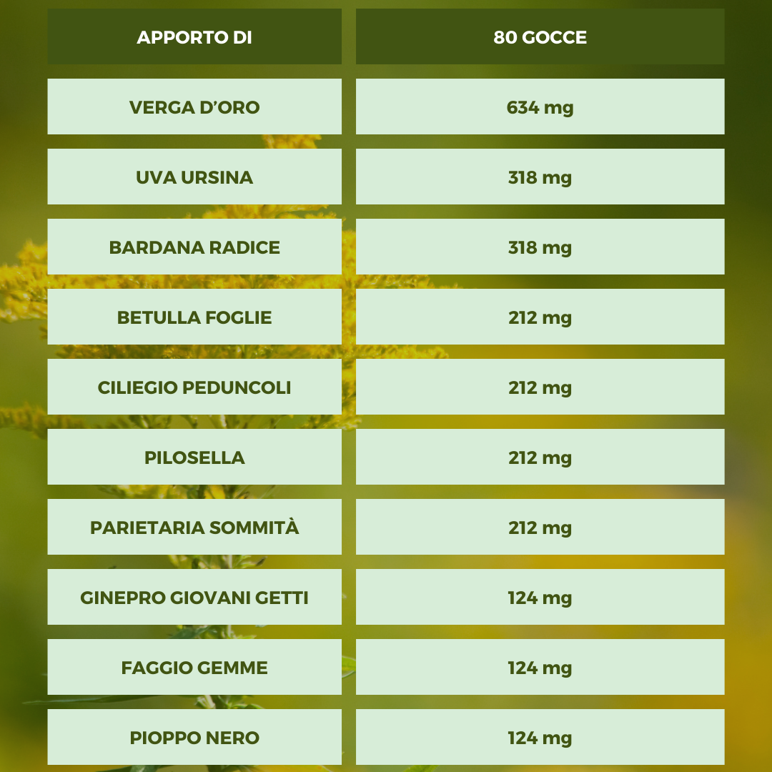 DEPURATIVO RENI Ecosalute