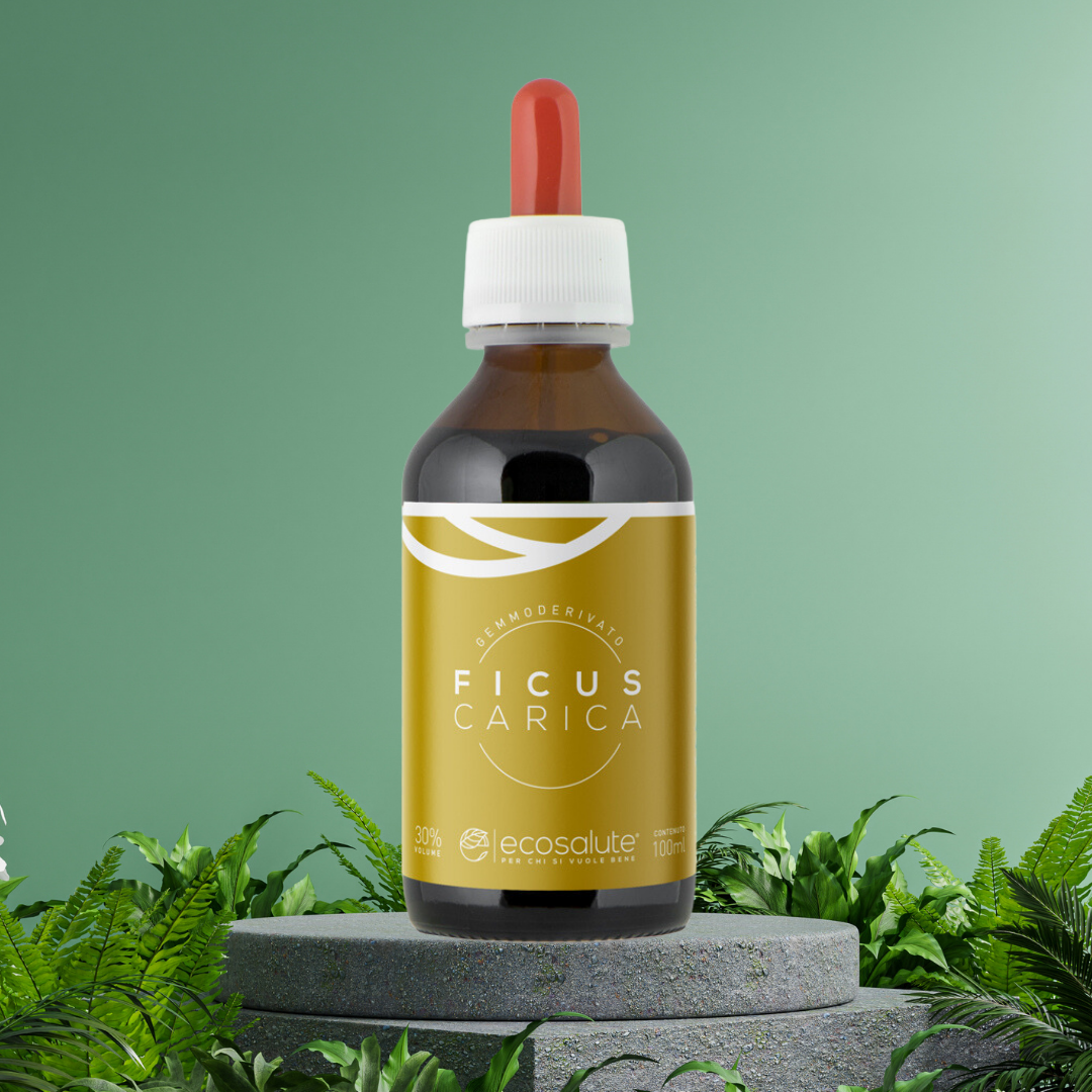 FICUS CARICA Gemmoderivato Ecosalute