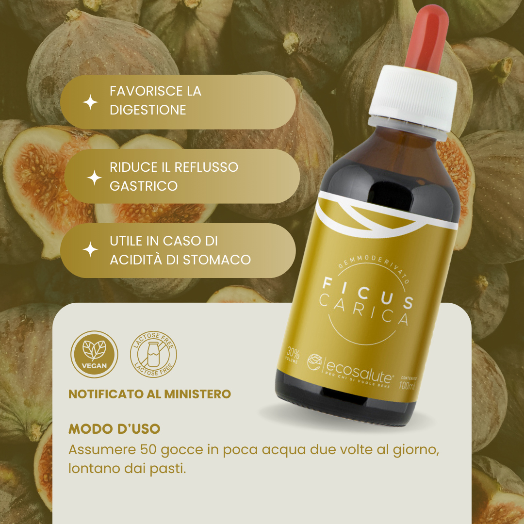 FICUS CARICA Gemmoderivato Ecosalute