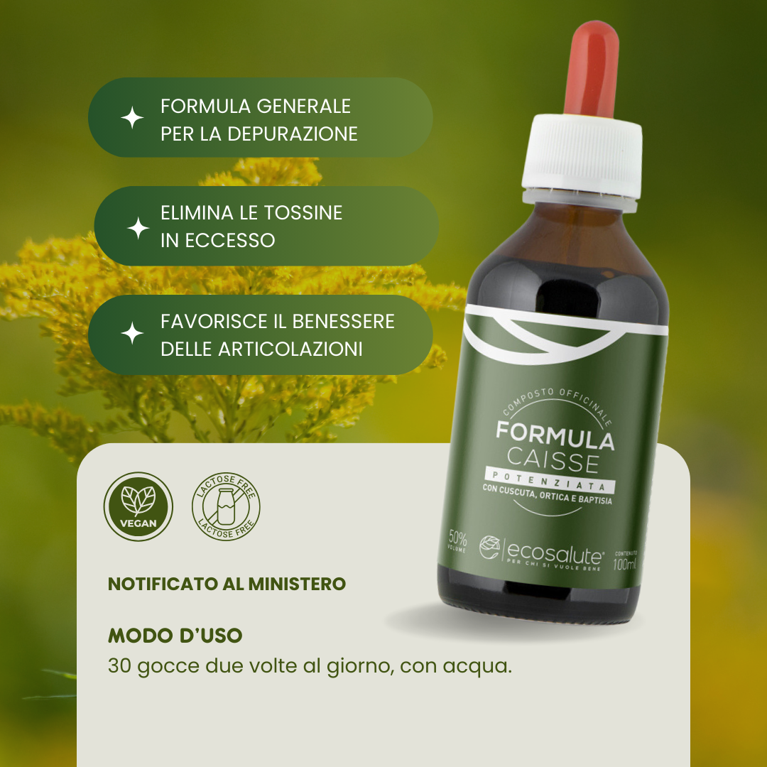 FORMULA CAISSE Ecosalute