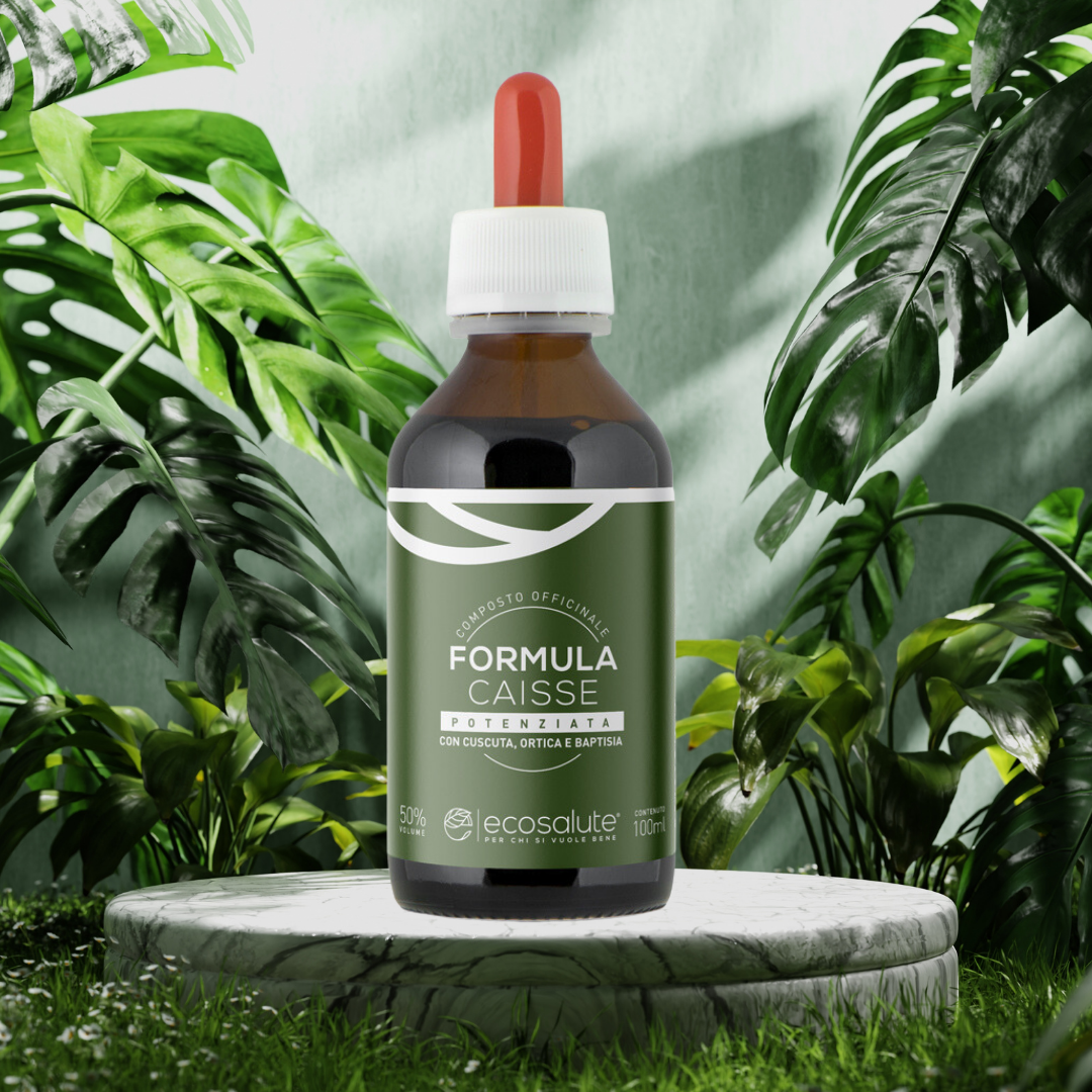 FORMULA CAISSE Ecosalute