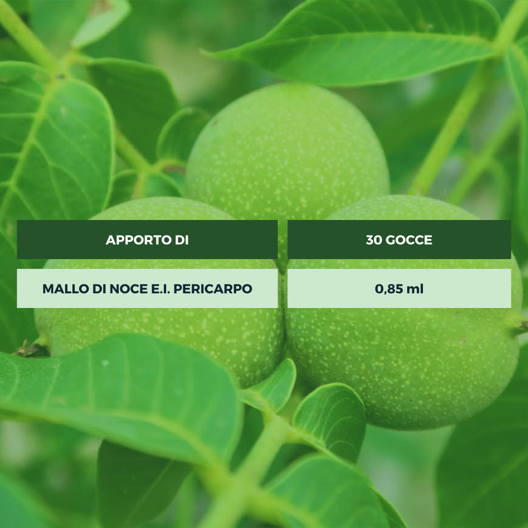 MALLO VERDE DI NOCE POTENZIATO TINTURA MADRE Ecosalute