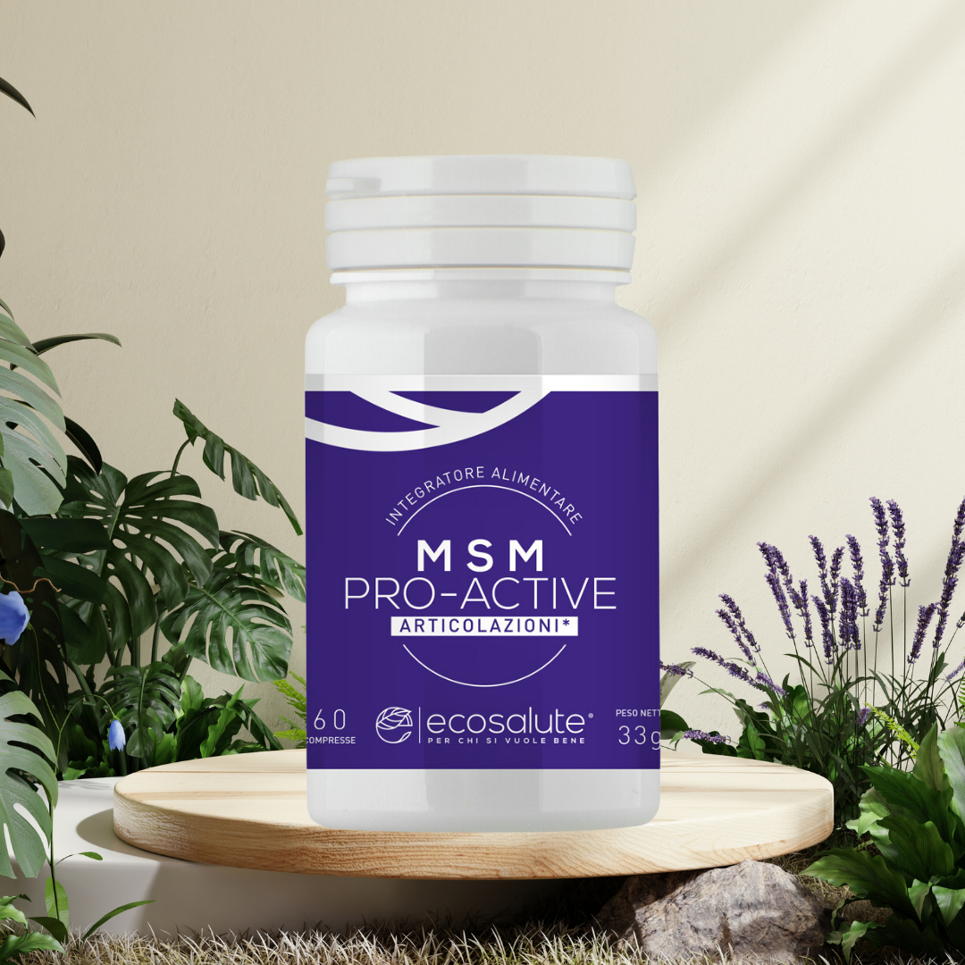MSM PRO-ACTIVE Ecosalute