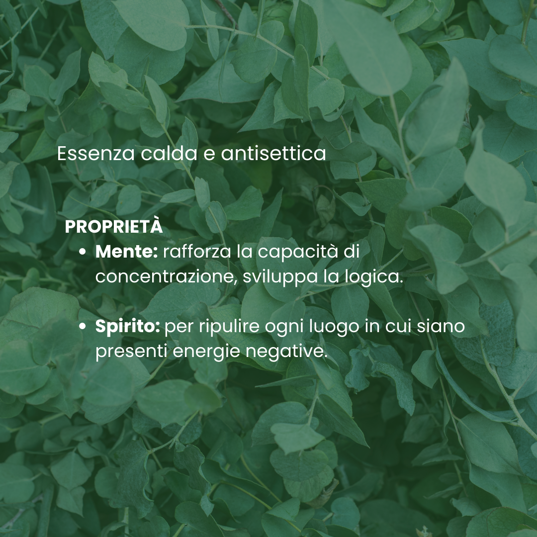 OLIO ESSENZIALE EUCALIPTO Ecosalute