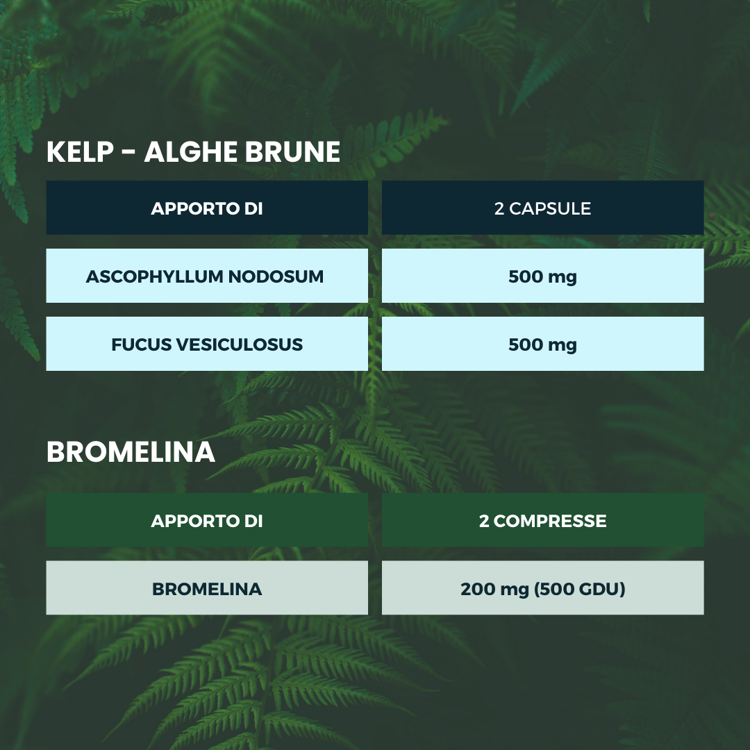 Pacchetto DRENA & SNELLISCI Ecosalute