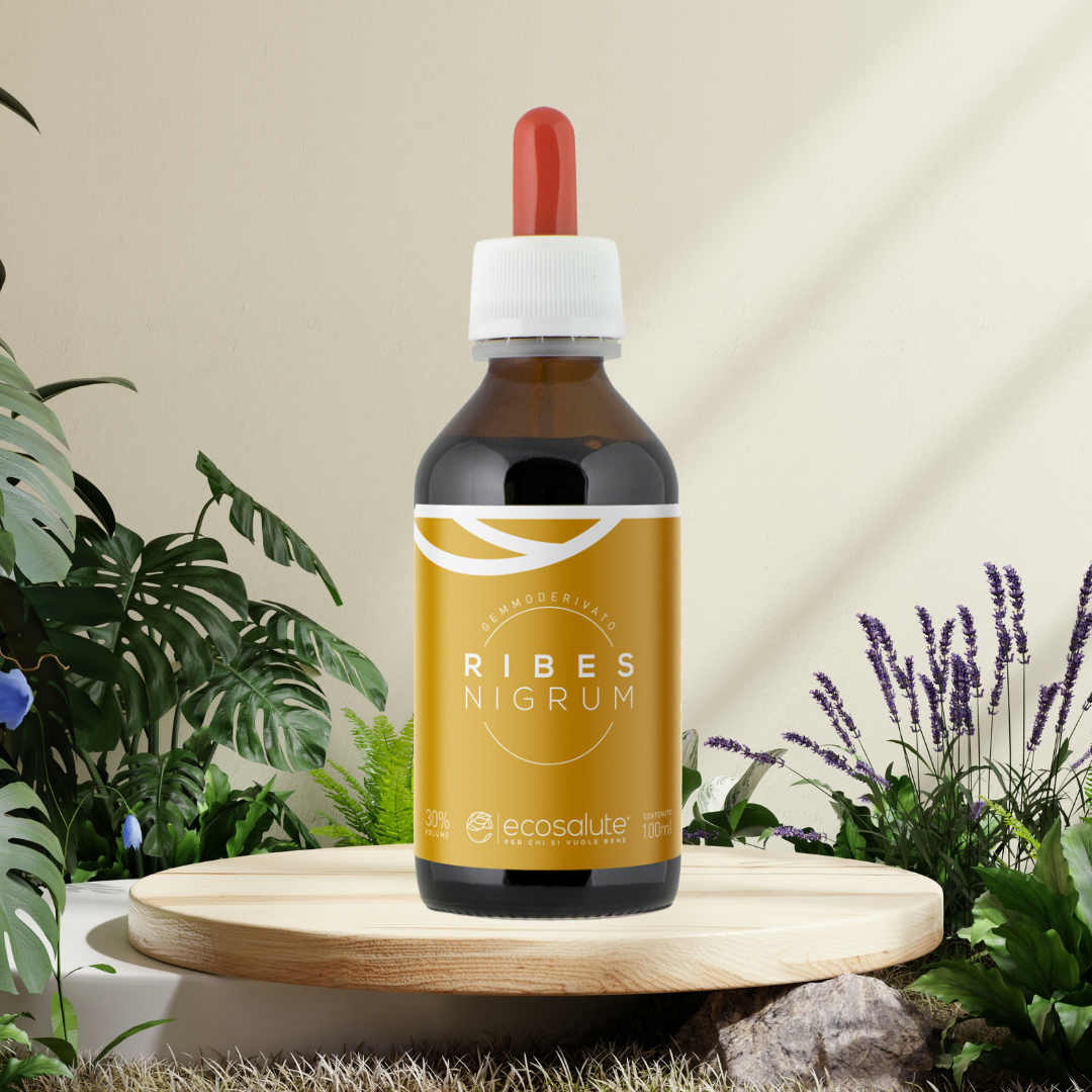 RIBES NIGRUM GEMMODERIVATO Ecosalute