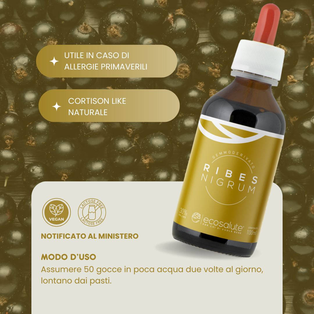 RIBES NIGRUM GEMMODERIVATO Ecosalute