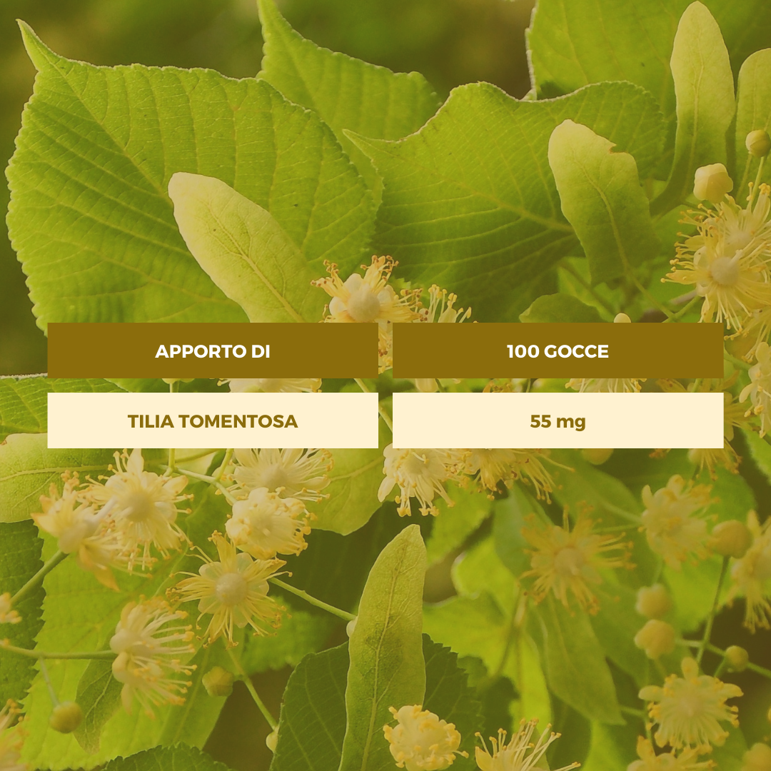 TIGLIO Gemmoderivato Ecosalute