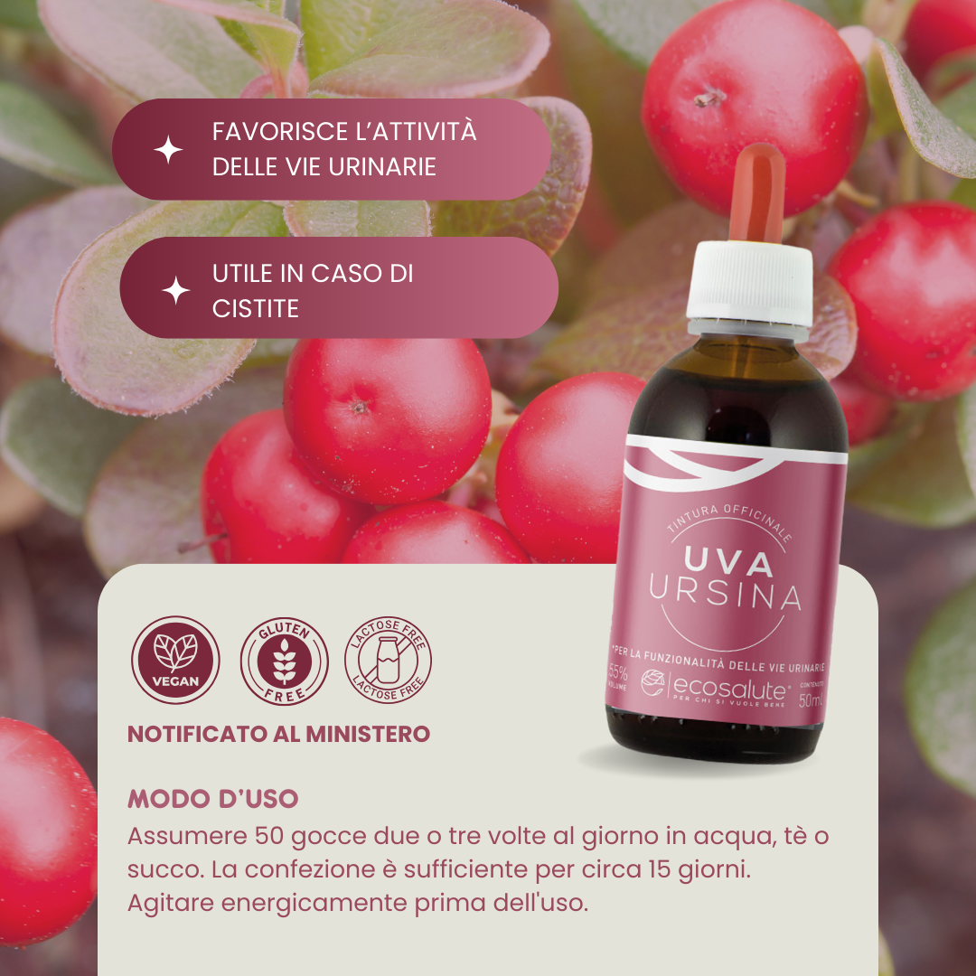 UVA URSINA TINTURA OFFICINALE Ecosalute