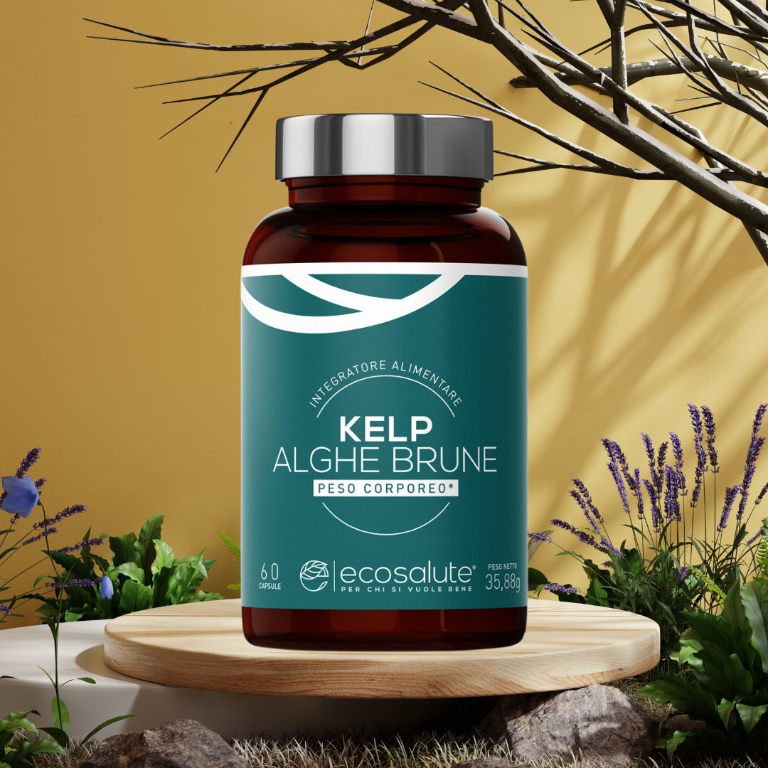 KELP - ALGHE BRUNE
