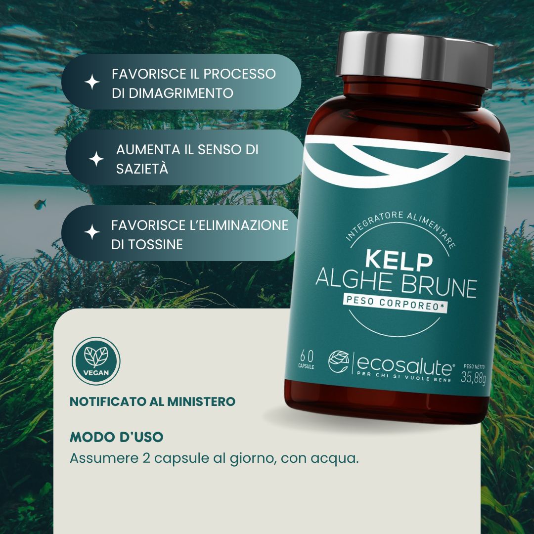 KELP - ALGHE BRUNE