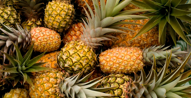 5 Falsi miti: l'ananas fa dimagrire? Ecosalute