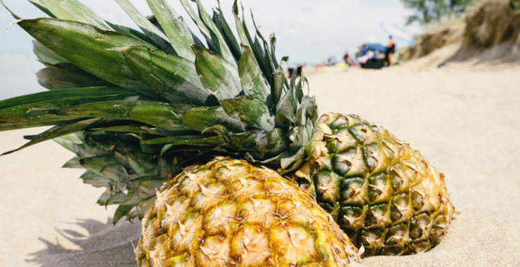 ANANAS:  FONTE DI BROMELINA Ecosalute