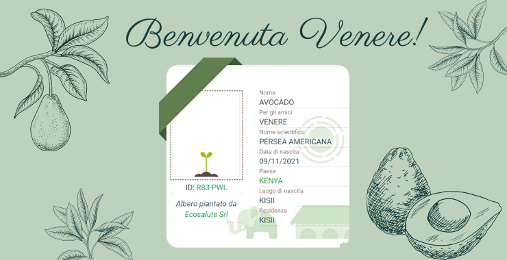 Benvenuta VENERE 🌱 Ecosalute