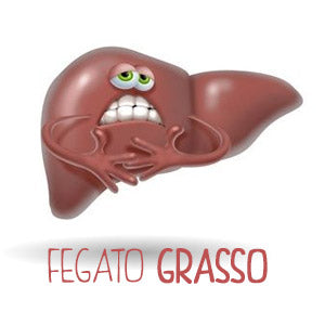 FEGATO GRASSO Ecosalute