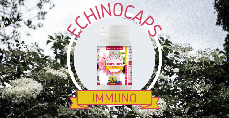 STIMOLA IL SISTEMA IMMUNITARIO CON ECHINOCAPS Ecosalute