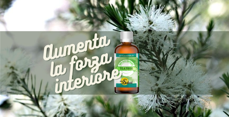 TEA TREE: DALL'AUSTRALIA FINO A NOI Ecosalute