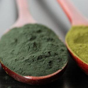 TUTTO, MA PROPRIO TUTTO, SULLA SPIRULINA! Ecosalute