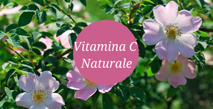 VITAMINA C NATURALE: Da Rosa Canina e Acerola Ecosalute