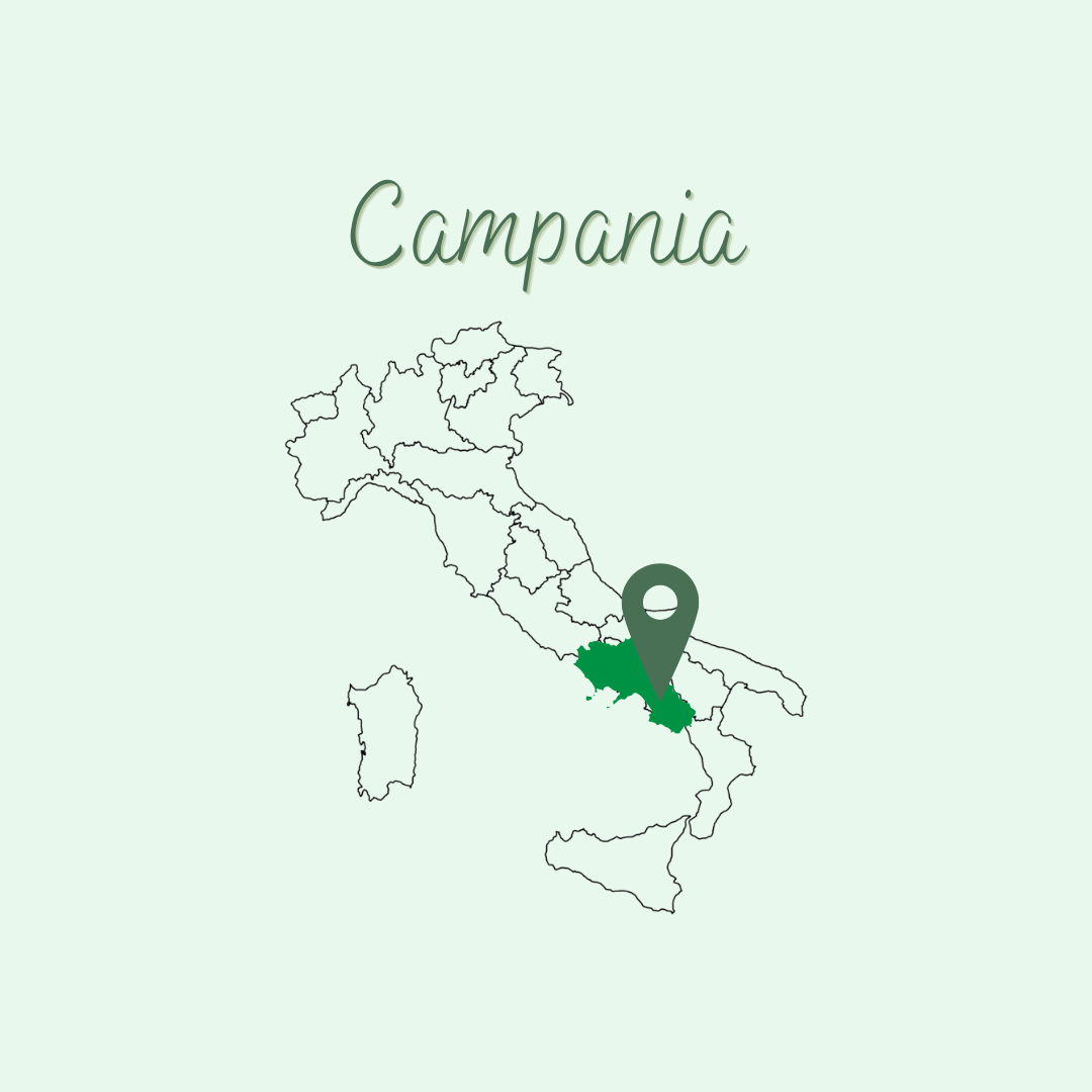 Campania 90