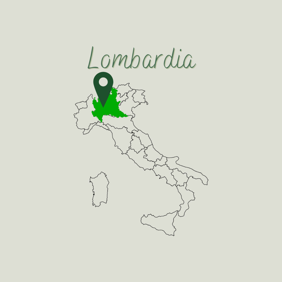 Campania 95