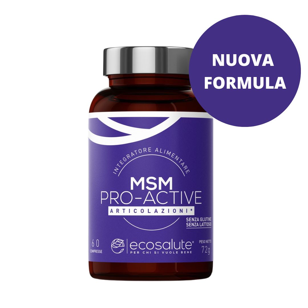 MSM PRO-ACTIVE 