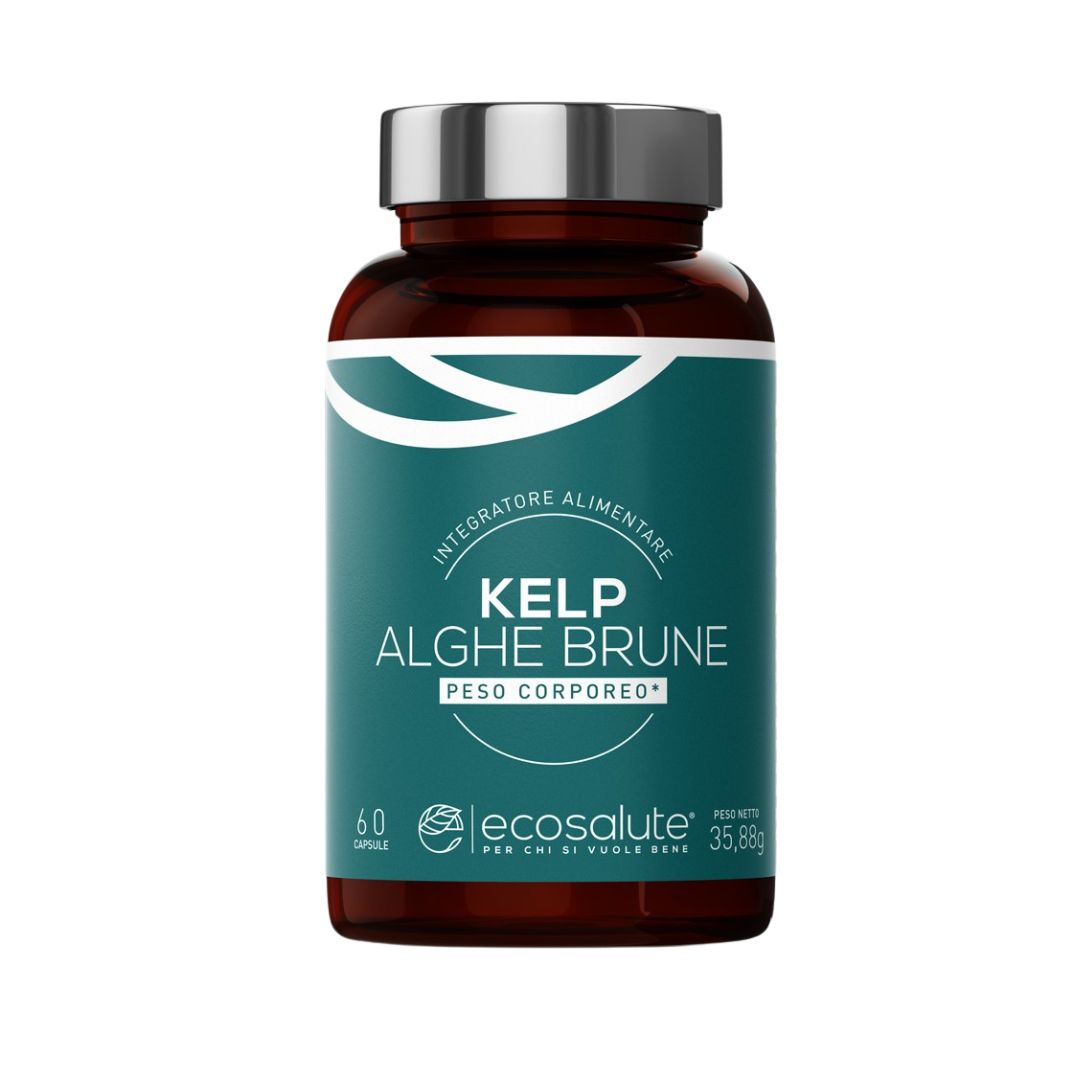KELP - ALGHE BRUNE