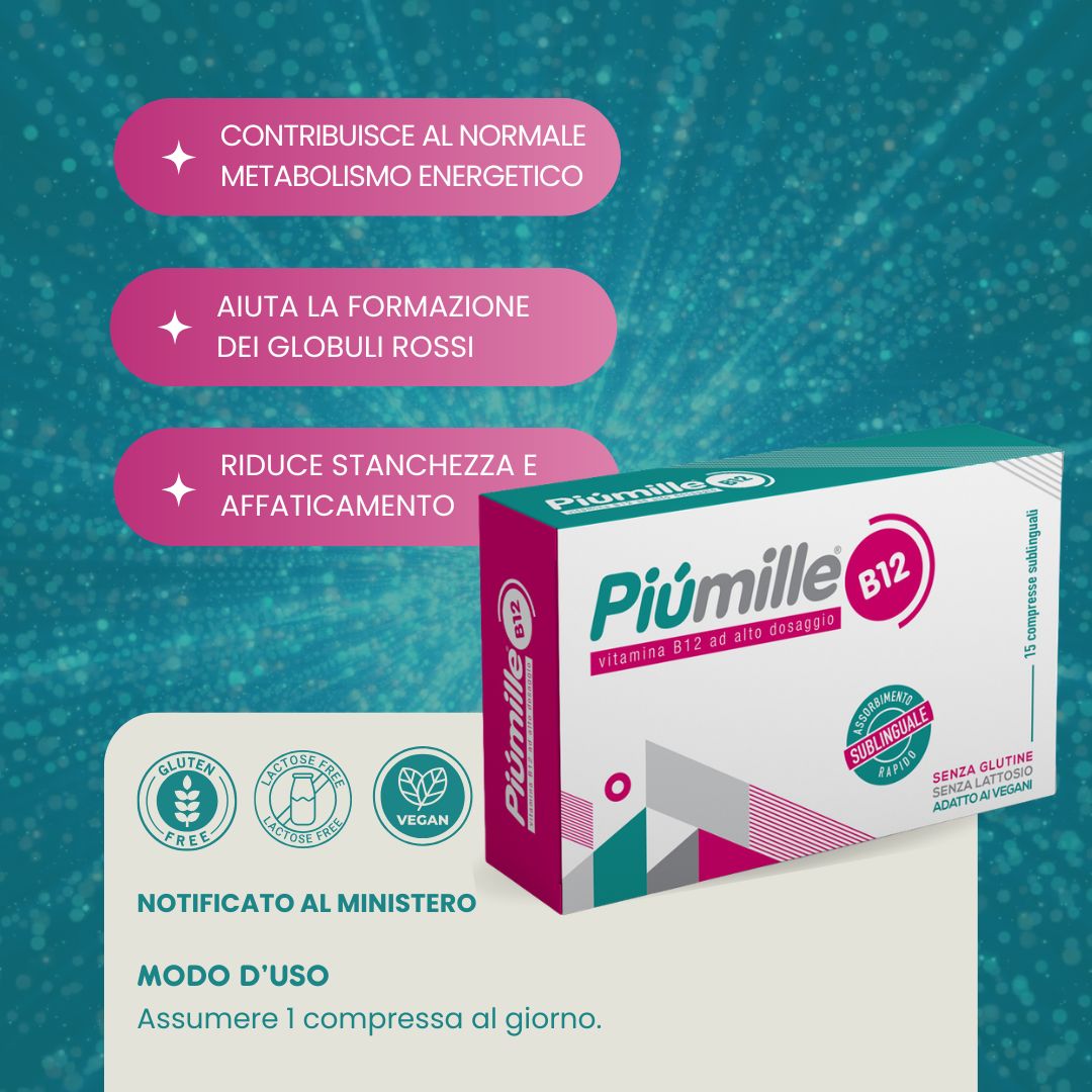 Piùmille info