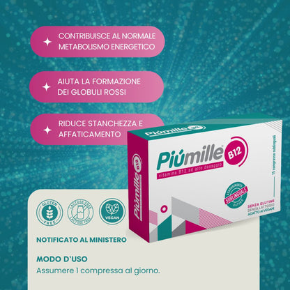 Piùmille info