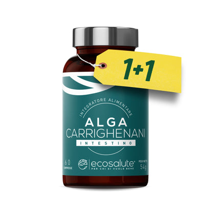 ALGA CARRIGHENANI 1+1