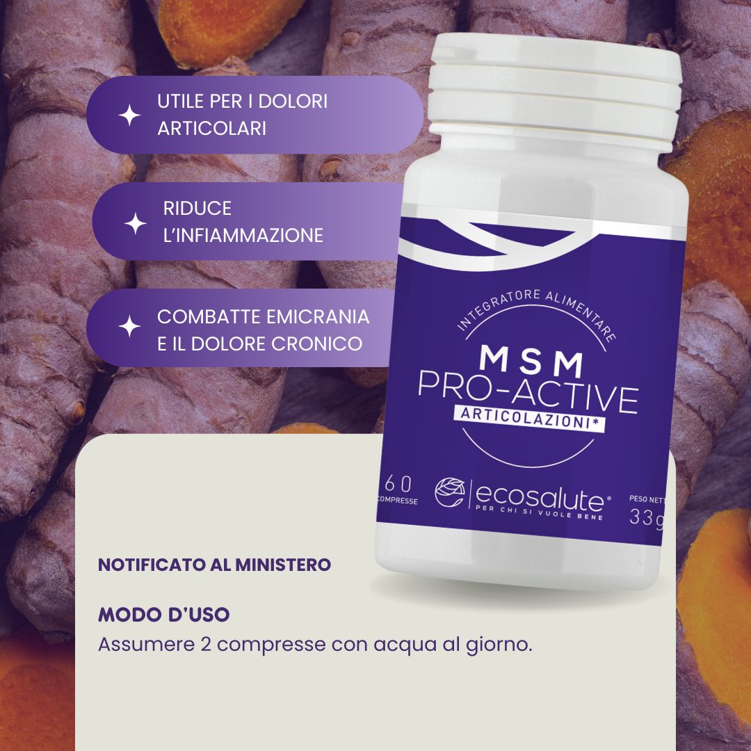 MSM PRO-ACTIVE 